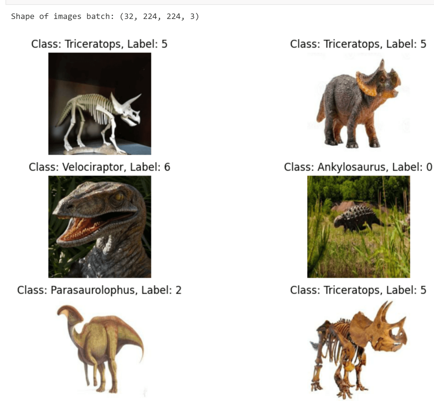 Dino Classification Challenge screenshot 4